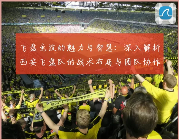 飞盘竞技的魅力与智慧：深入解析西安飞盘队的战术布局与团队协作
