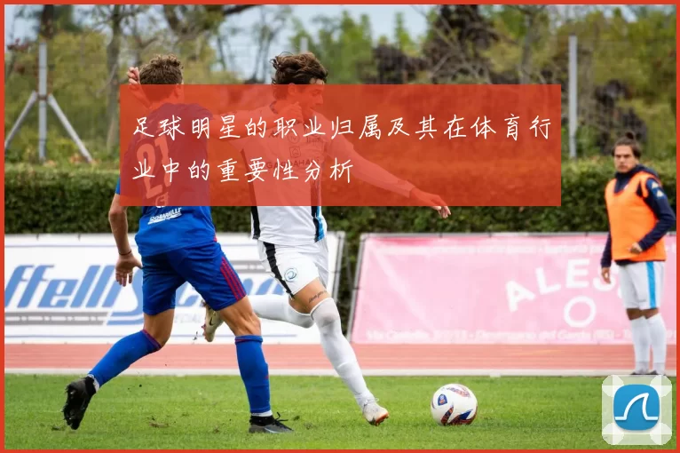 足球明星的职业归属及其在体育行业中的重要性分析