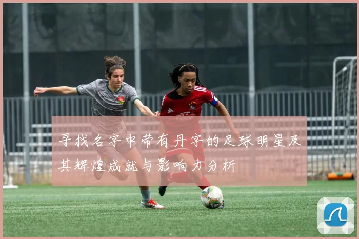 寻找名字中带有丹字的足球明星及其辉煌成就与影响力分析