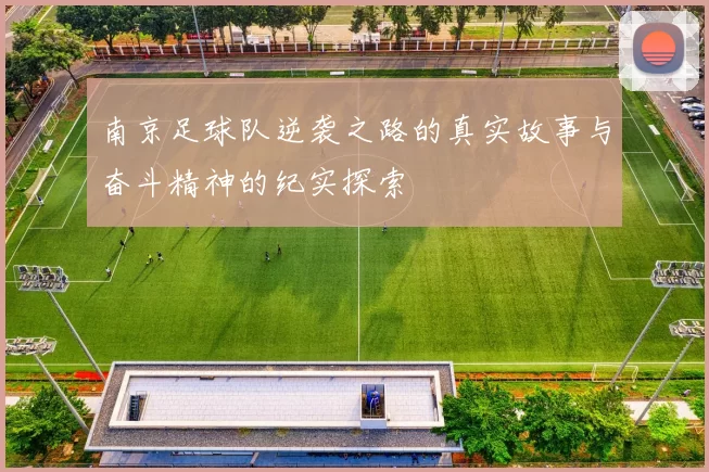 南京足球队逆袭之路的真实故事与奋斗精神的纪实探索