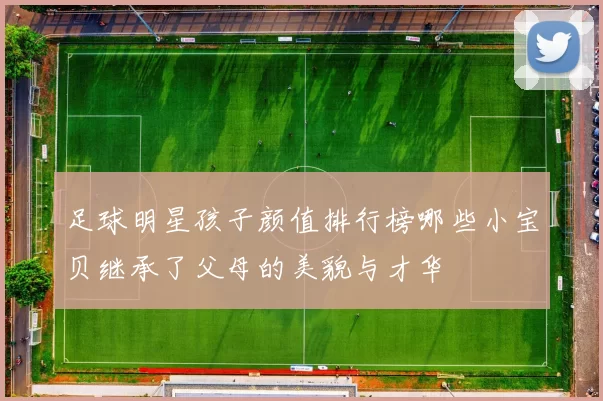 足球明星孩子颜值排行榜哪些小宝贝继承了父母的美貌与才华