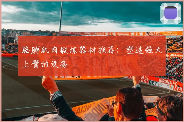 胳膊肌肉锻炼器材推荐：塑造强大上臂的设备