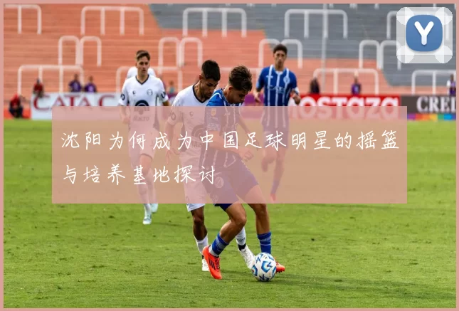 沈阳为何成为中国足球明星的摇篮与培养基地探讨