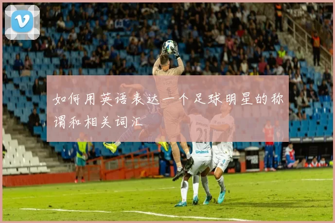 如何用英语表达一个足球明星的称谓和相关词汇