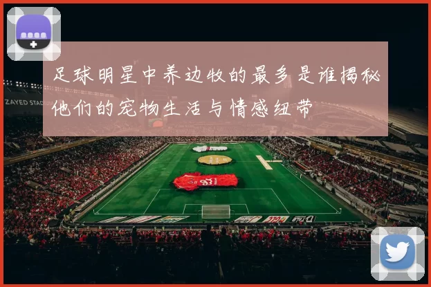 足球明星中养边牧的最多是谁揭秘他们的宠物生活与情感纽带