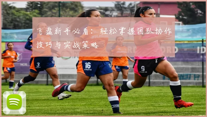 飞盘新手必看：轻松掌握团队协作技巧与实战策略