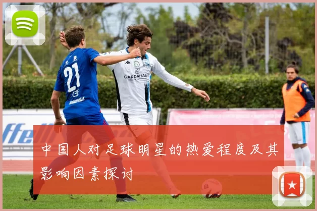 中国人对足球明星的热爱程度及其影响因素探讨