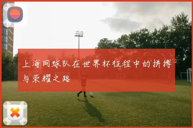 上海网球队在世界杯征程中的拼搏与荣耀之路