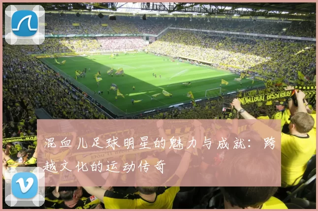混血儿足球明星的魅力与成就：跨越文化的运动传奇