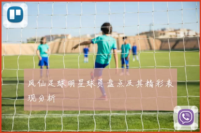 凤仙足球明星球员盘点及其精彩表现分析