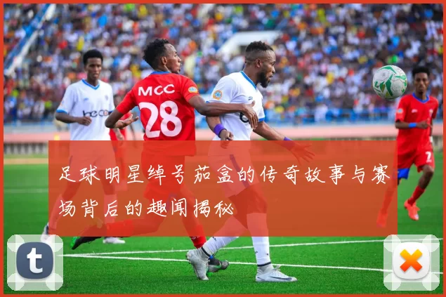 足球明星绰号茄盒的传奇故事与赛场背后的趣闻揭秘