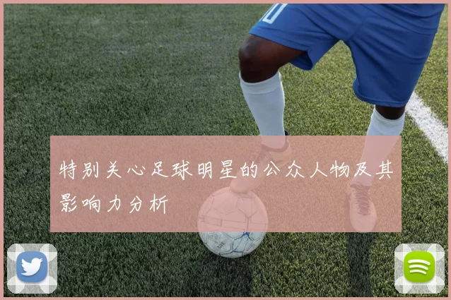 特别关心足球明星的公众人物及其影响力分析