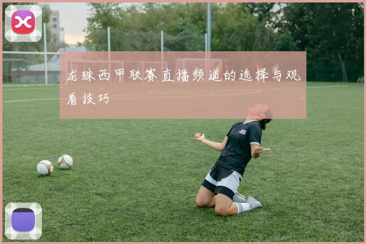 龙珠西甲联赛直播频道的选择与观看技巧