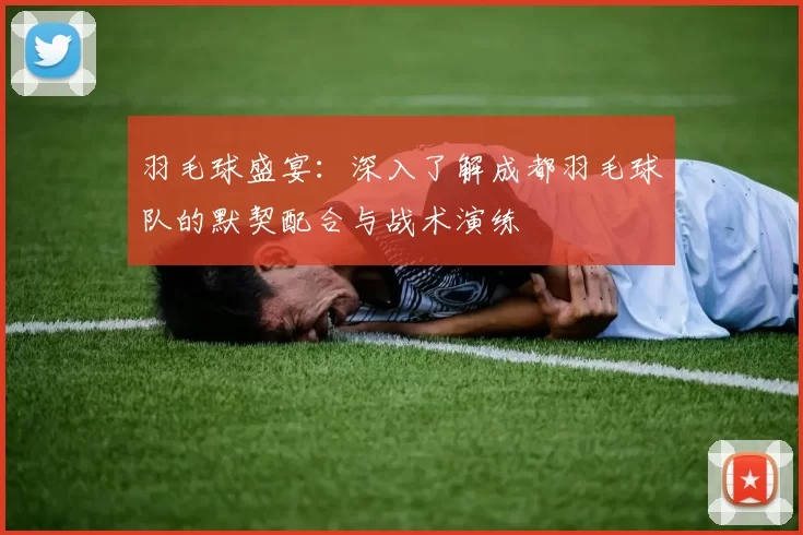 羽毛球盛宴：深入了解成都羽毛球队的默契配合与战术演练