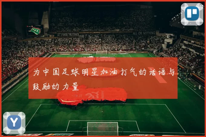 为中国足球明星加油打气的话语与鼓励的力量