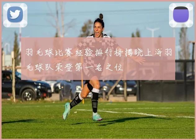 羽毛球比赛经验排行榜揭晓上海羽毛球队荣登第一名之位