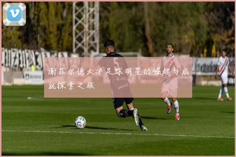 谢菲尔德大学足球明星的崛起与成就探索之旅