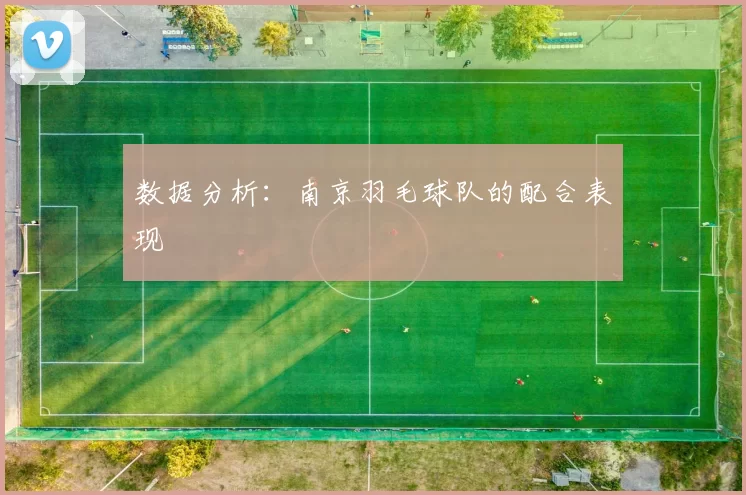 数据分析：南京羽毛球队的配合表现
